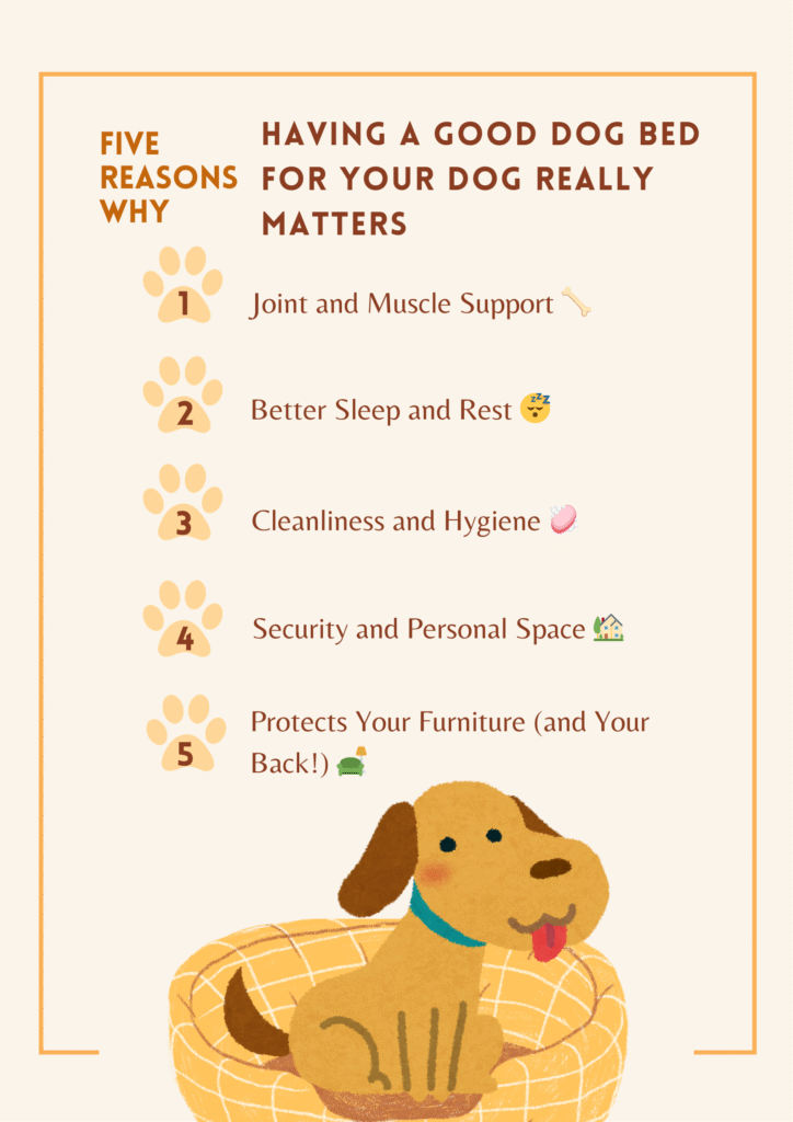Good Dog Bed for Golden Retrievers: 5 Reasons Why