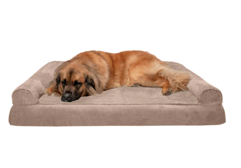 Good Dog Bed for Golden Retrievers: Furhaven Sofa Bed