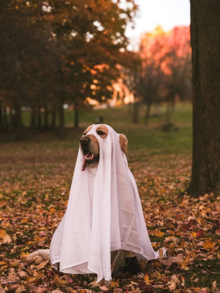 golden retriever halloween costume