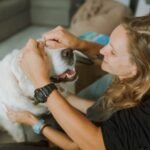 21 Indoor Dog Activities Your Golden Retriever Will Actually Love